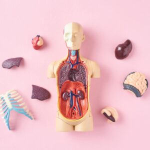 Anatomy & Advanced Skin Science Bundle